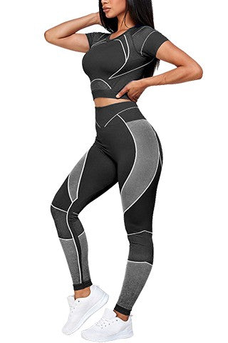 Active Seamless Cropped Top and Leggings Set